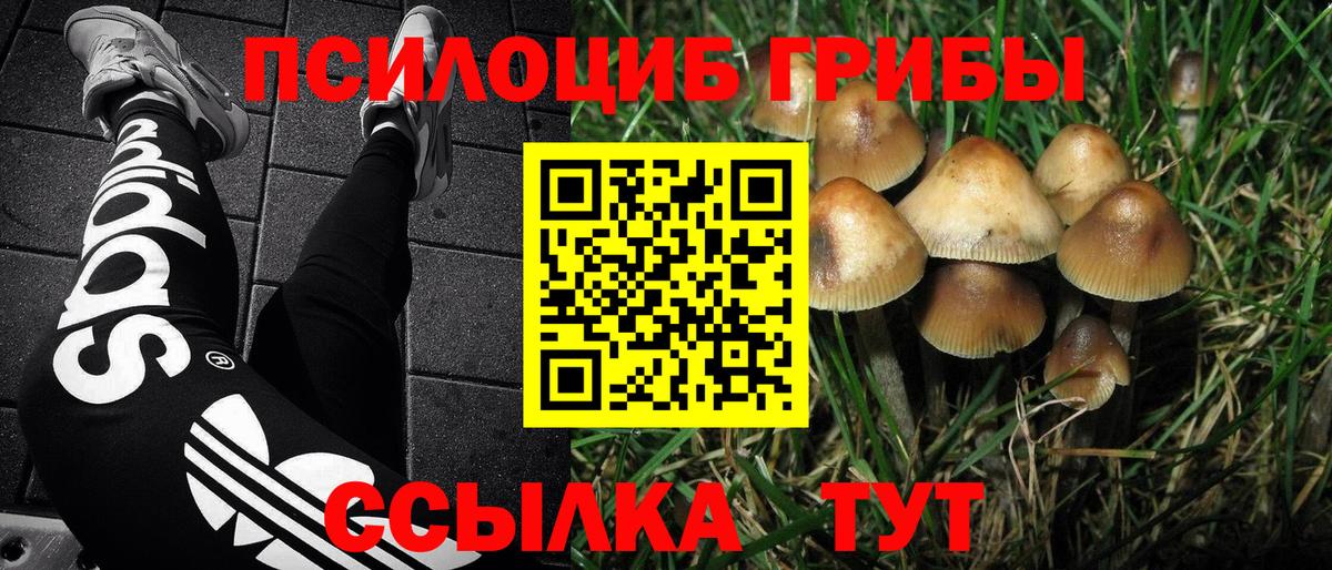 Учалы  Галлюциногенные грибы Psilocybine cubensis  Вход с VPN 